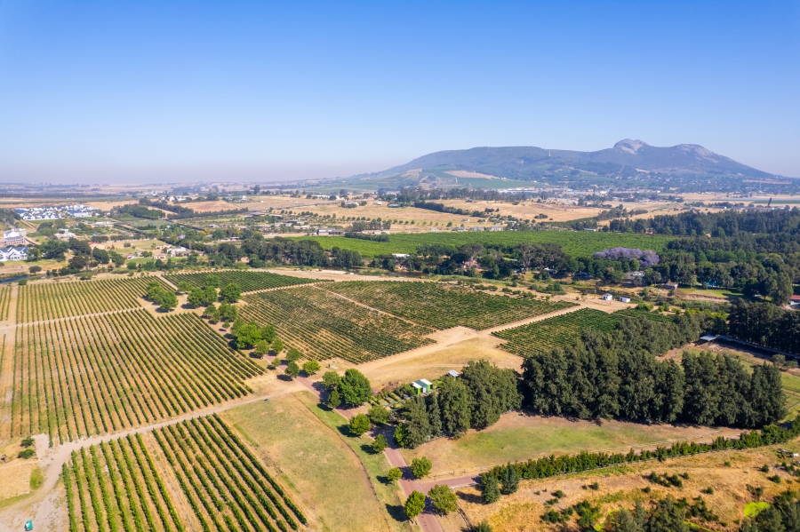 0 Bedroom Property for Sale in Val De Vie Estate Western Cape